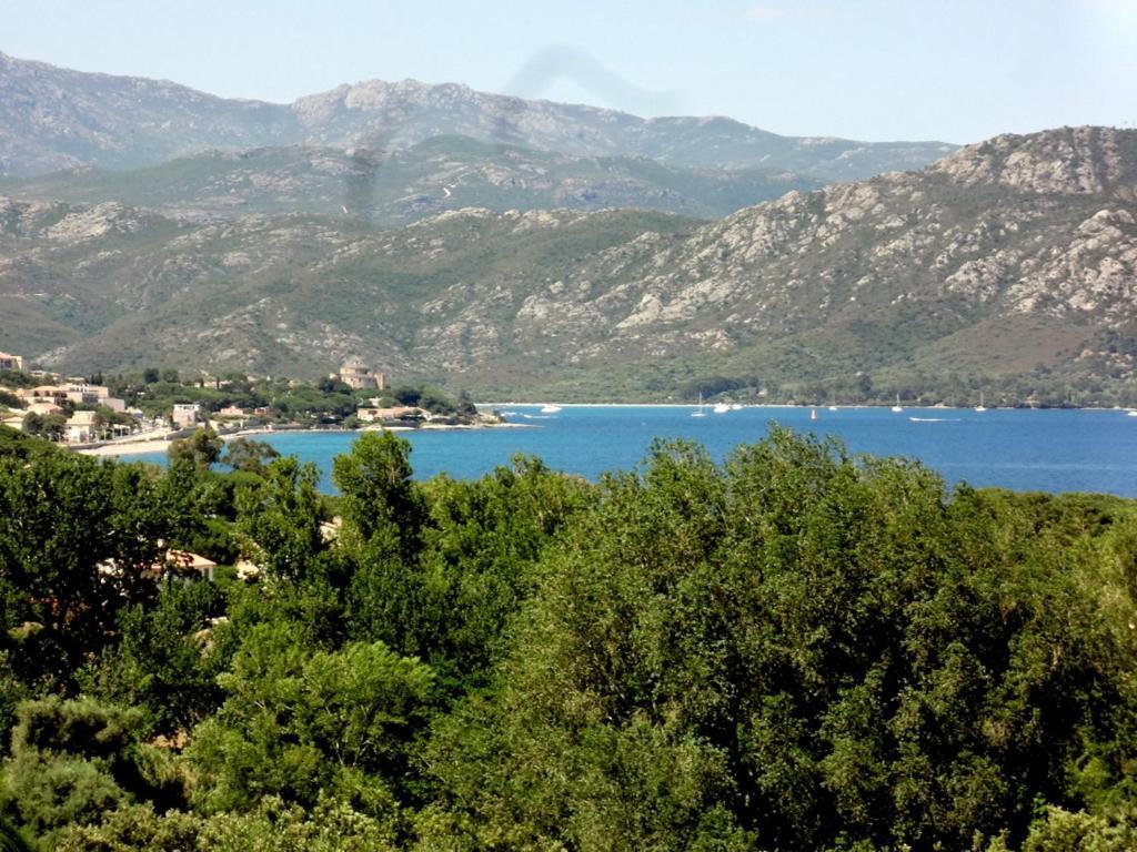 Appartement Saint-Florent, Agréable Studio Climatisé, Vue Panoramique Sur Le Golfe Extérieur photo